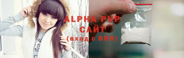 индика Абаза