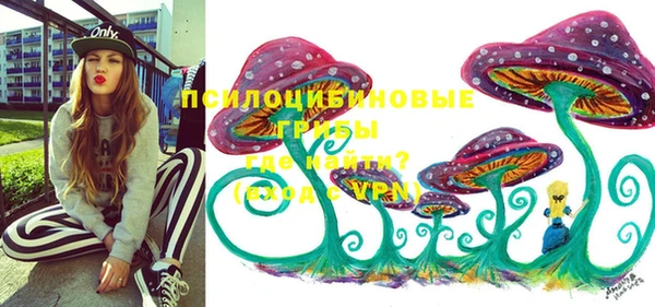 индика Абаза