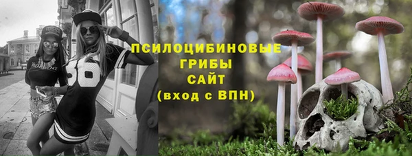 трава Абинск