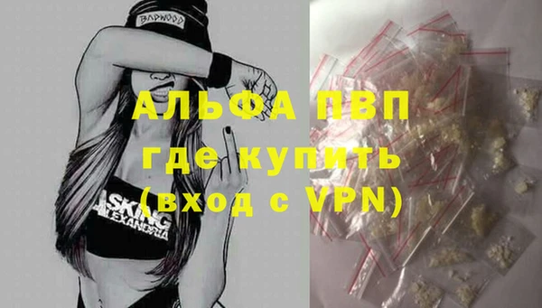 индика Абаза